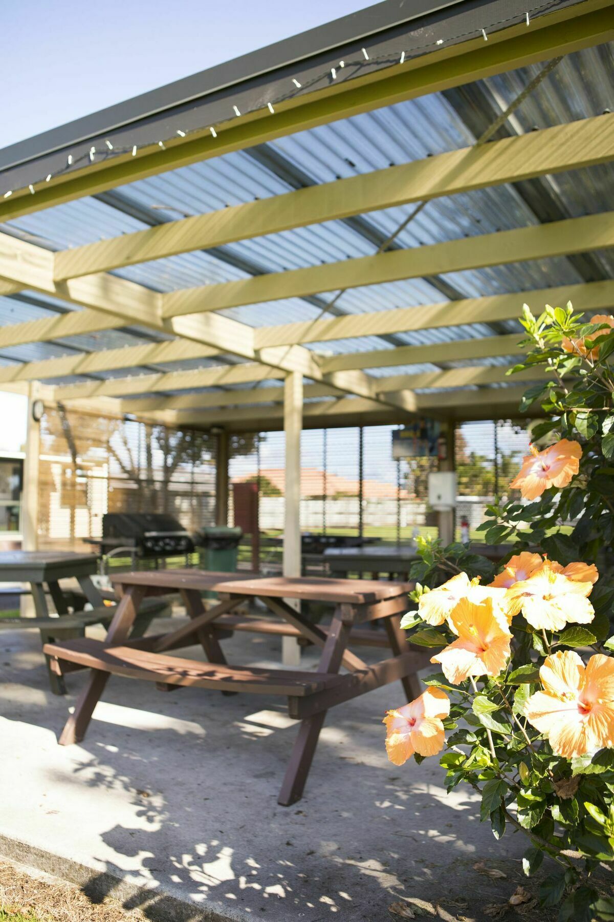 Mercury Bay Holiday Park Whitianga Eksteriør bilde